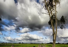 吉他新手必看！2025 年最火的 10 首入门曲目推荐！