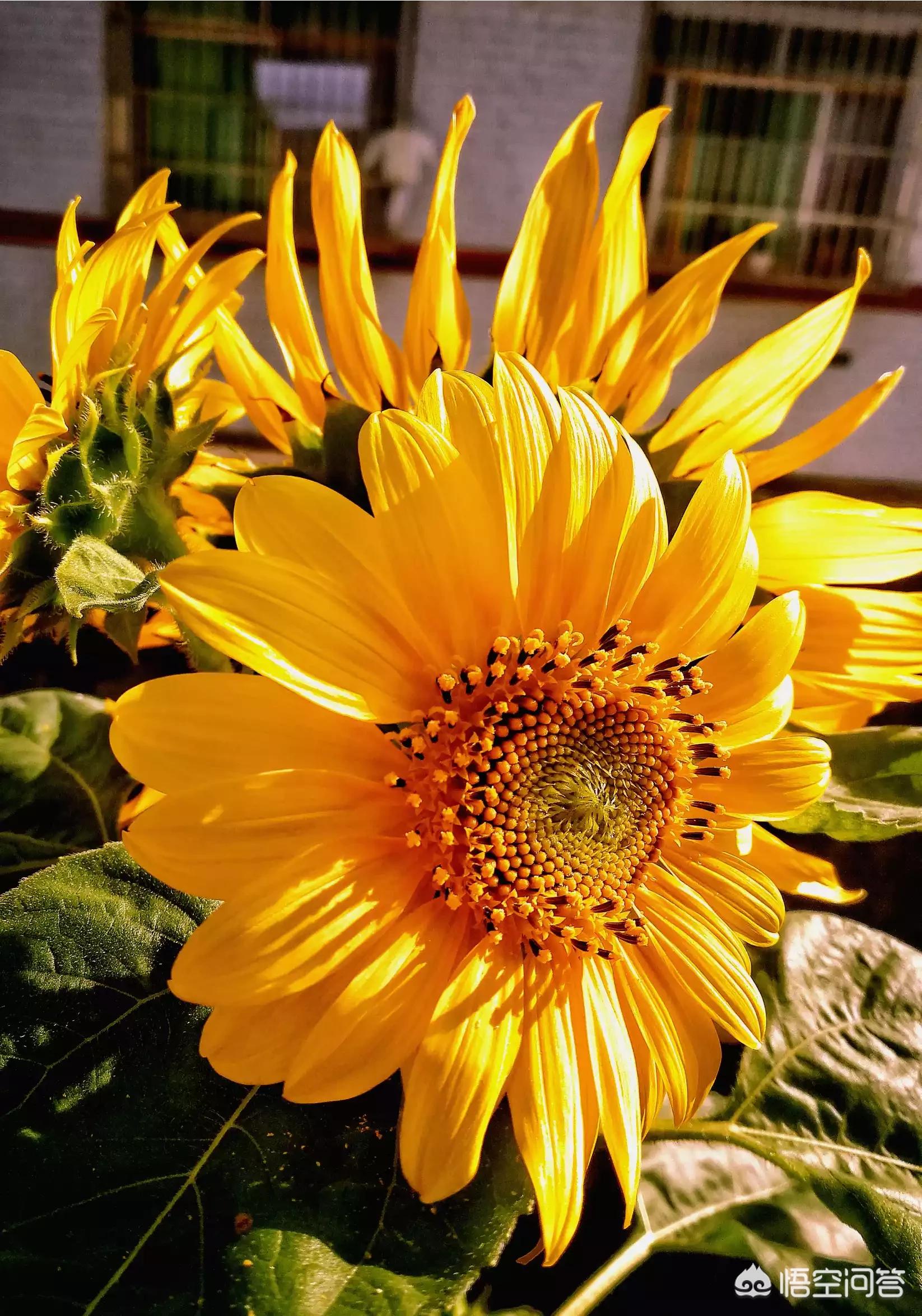 吉他和弦转换慢？这 4 个练习方法让你快如闪电！